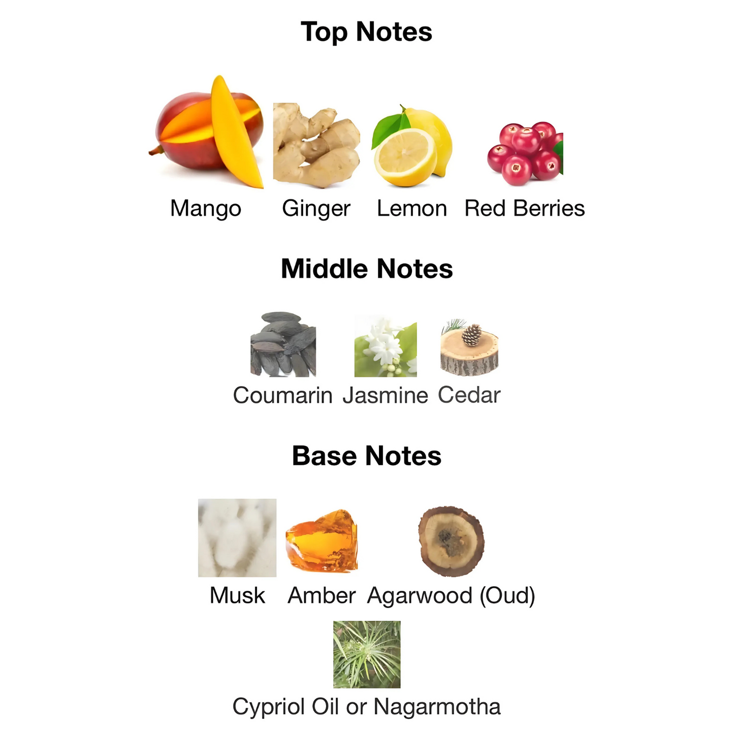 ScentHub Fire - 100ml